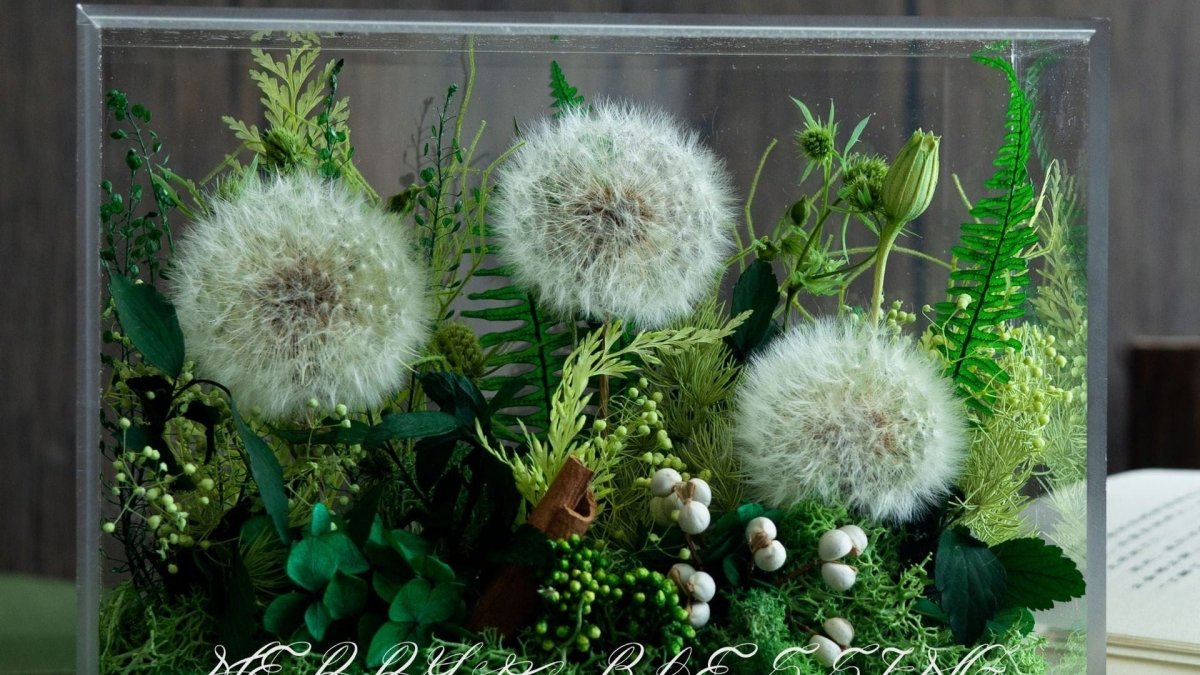 Enchanted Preserved Flower Box - Flowers - Dandelion - Preserved Flowers & Fresh Flower Florist Gift Store