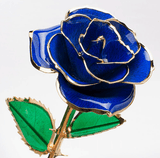 Eternal Preserved Rose Bloom - Real Rose Preserved - Eternal Love Series - Flowers - Blue - Preserved Flowers & Fresh Flower Florist Gift Store