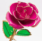 Eternal Preserved Rose Bloom - Real Rose Preserved - Eternal Love Series - Flowers - Rose Pink - Preserved Flowers & Fresh Flower Florist Gift Store