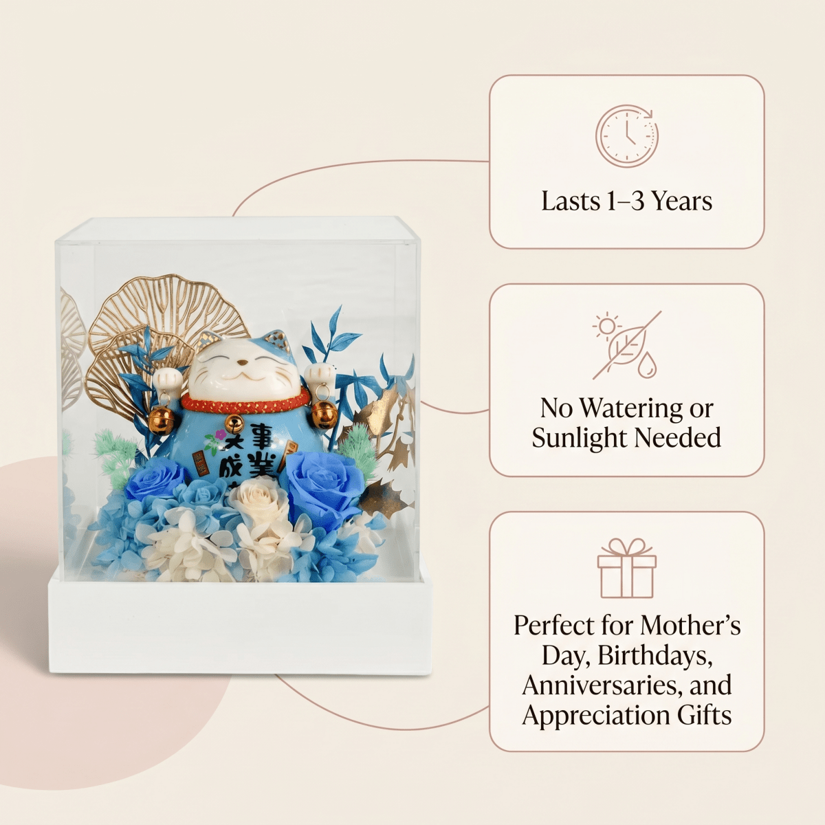 Maneki - Neko 招き猫 Flower Box, Blue (Career & Success) - Flowers - Preserved Flowers & Fresh Flower Florist Gift Store