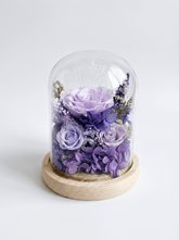 Sora Preserved Flower Dome - Flowers - Purple - Preserved Flowers & Fresh Flower Florist Gift Store