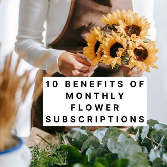 10 Benefits of Monthly Flower Subscription - Ana Hana Flower