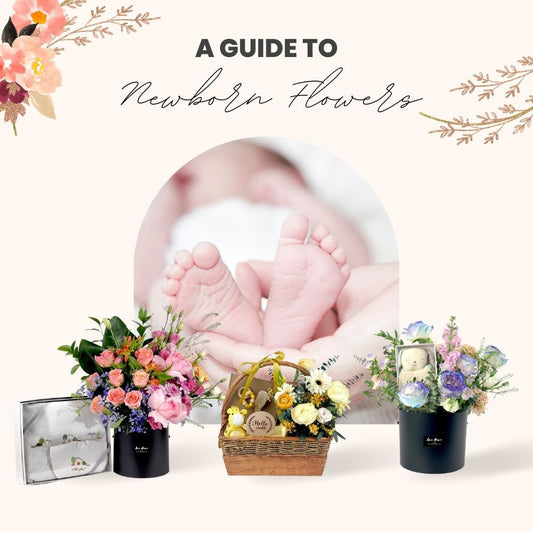 A Handful of Love, Happiness, and Warmth - A Guide to Newborn Flowers - Ana Hana Flower