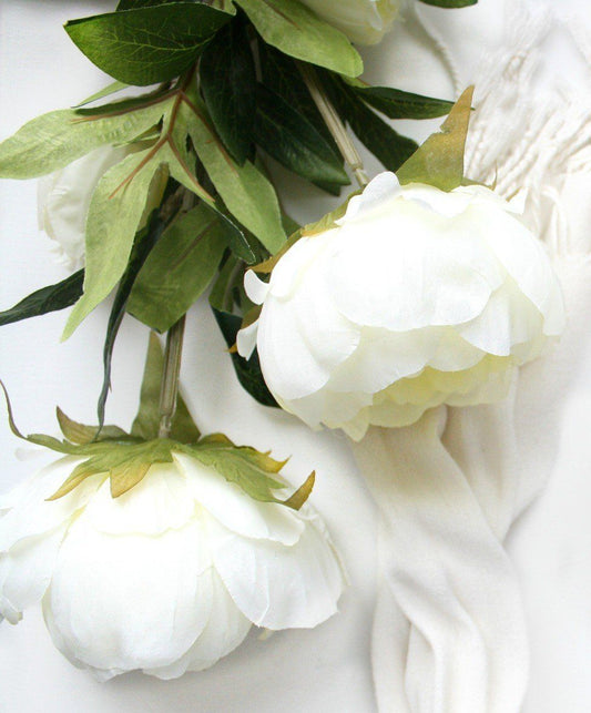 All You Need to Know about Peonies - Ana Hana Flower