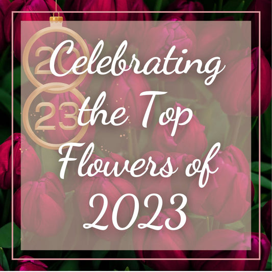 Celebrating the Top Flowers of 2023 - Ana Hana Flower