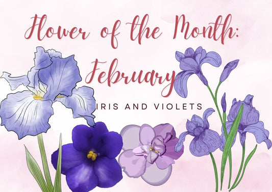 February Flowers: Violet and Iris - Ana Hana Flower
