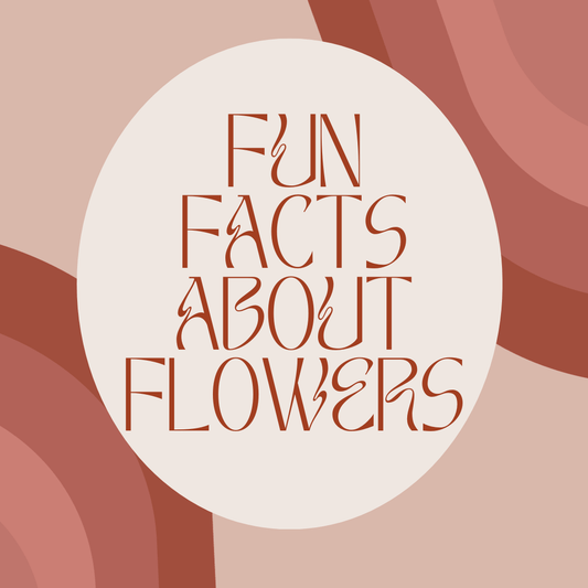 Fun Facts About Flowers - Ana Hana Flower