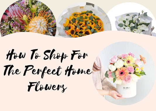 How To Shop For The Perfect Home Flowers - Ana Hana Flower