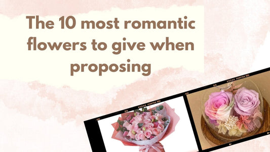 The 10 Most Romantic Flowers To Give When Proposing - Ana Hana Flower