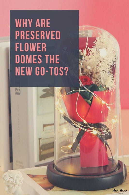 Why Are Preserved Flower Domes The New Go-Tos? - Ana Hana Flower