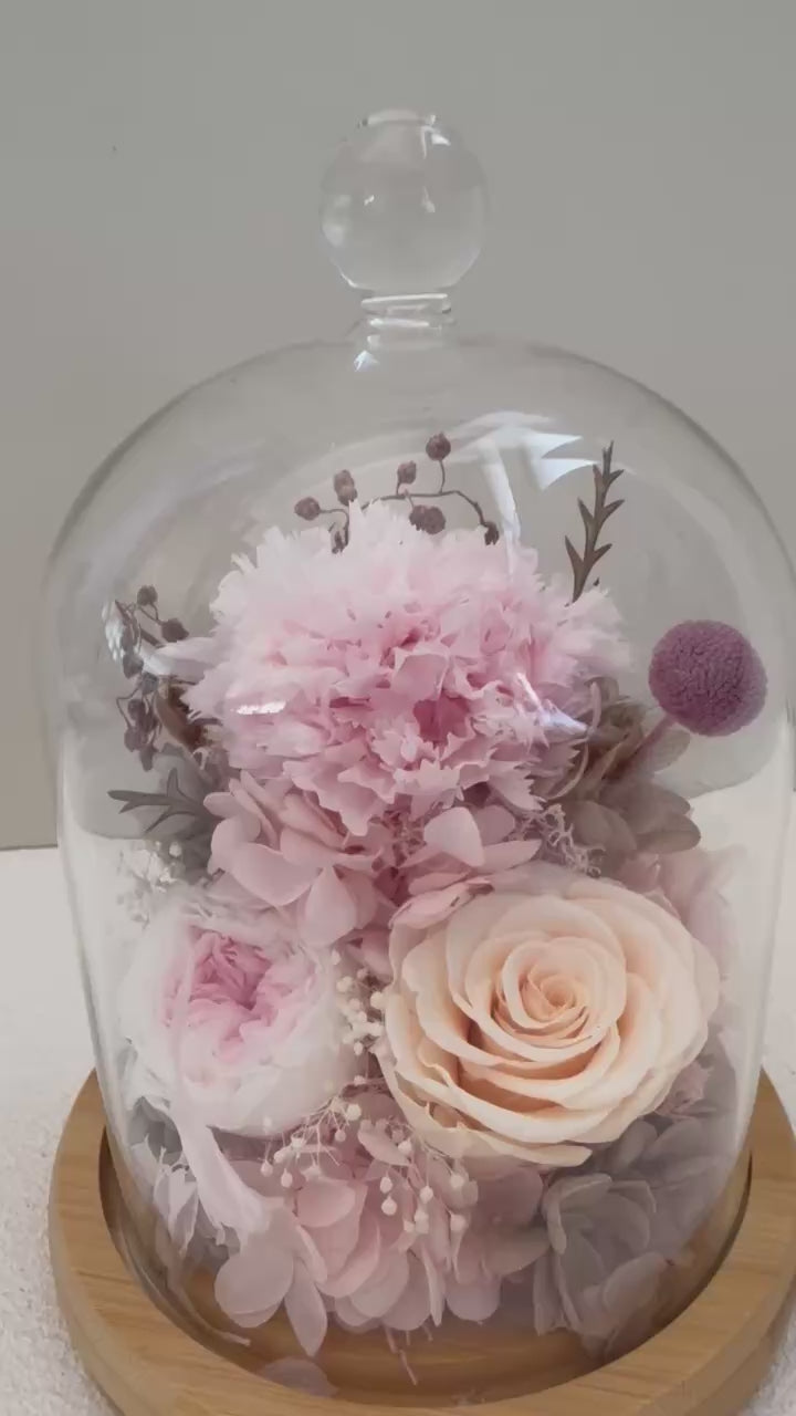 Carnation Bell Jar - Pink Peaches