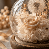 Dandelion Daphne Blowball - Flowers - Pink - Champagne - Preserved Flowers & Fresh Flower Florist Gift Store