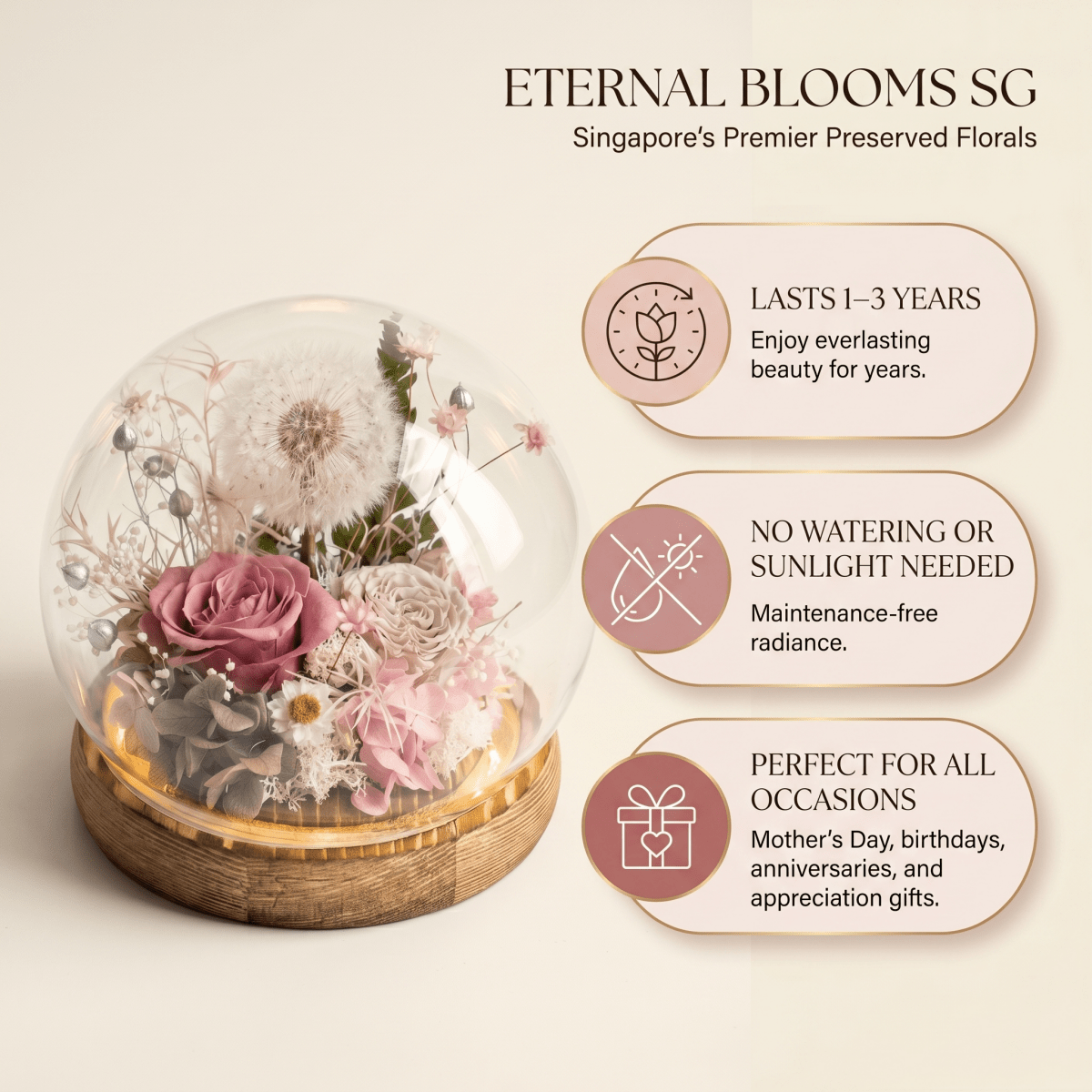 Dandelion Daphne Blowball - Flowers - Pink - Champagne - Preserved Flowers & Fresh Flower Florist Gift Store