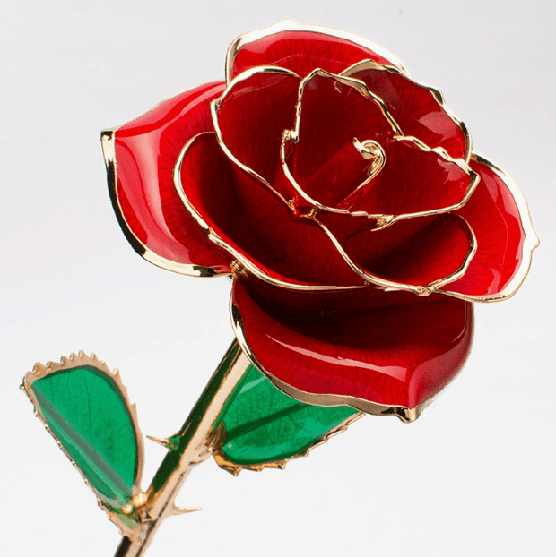Eternal Preserved Rose Bloom - Real Rose Preserved - Eternal Love Series - Flowers - Red - Preserved Flowers & Fresh Flower Florist Gift Store