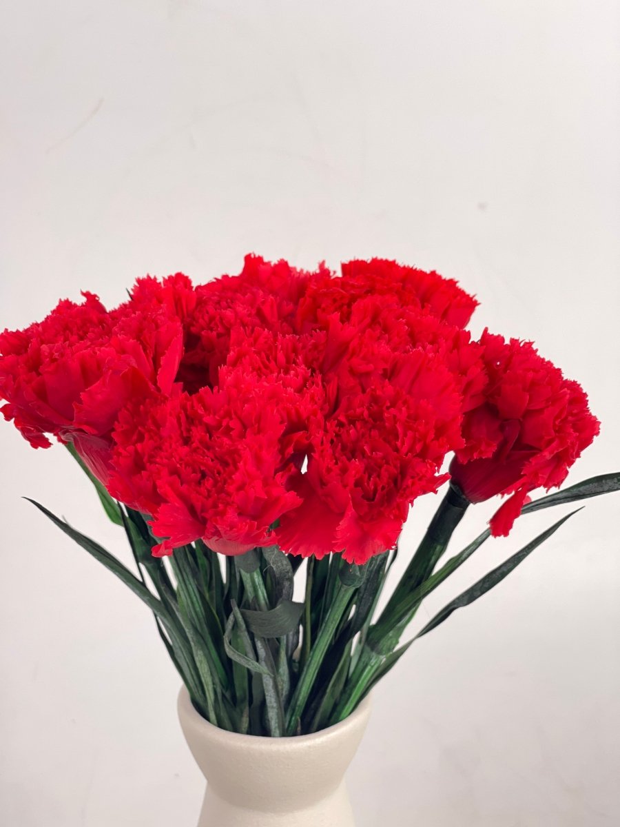 Everlasting Carnation - Flowers - 12 Carnation - Preserved Flowers & Fresh Flower Florist Gift Store