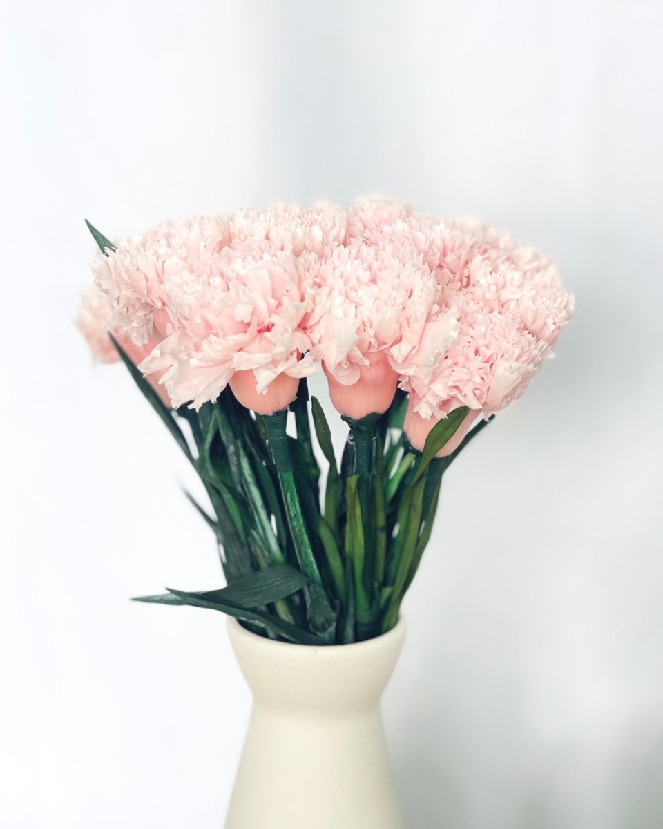 Everlasting Carnation - Flowers - 12 Carnation - Preserved Flowers & Fresh Flower Florist Gift Store