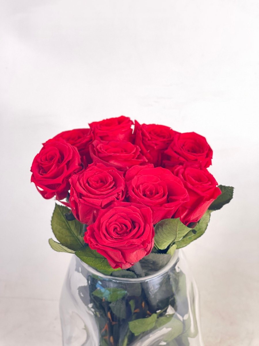 Everlasting Preserved Rose Arrangement - Flowers - 10 Roses - Preserved Flowers & Fresh Flower Florist Gift Store