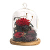 Carnation Bell Jar - Red Garnet (with box)