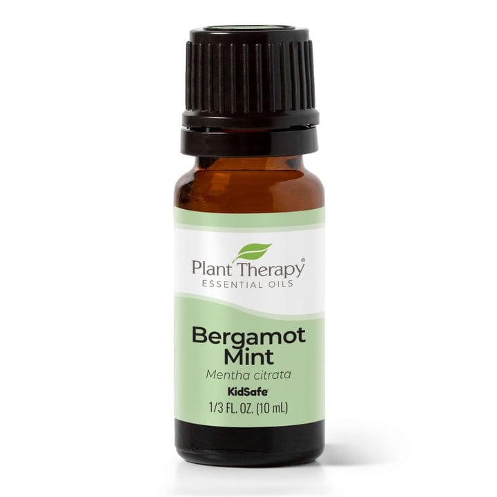 Bergamot Mint Essential Oil (Only available as an add-on) - Scent - Preserved Flowers & Fresh Flower Florist Gift Store