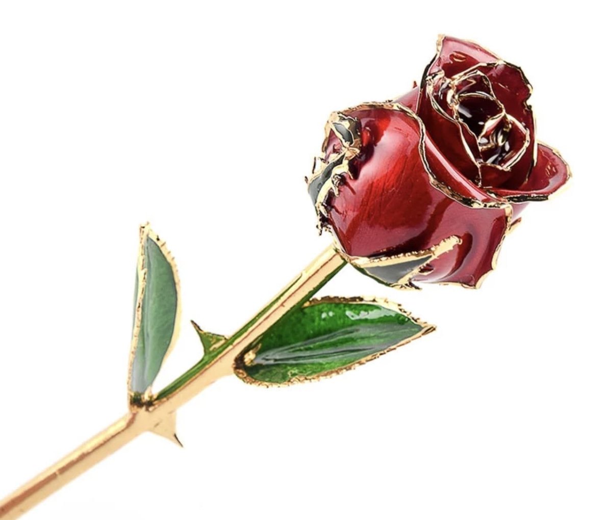 Eternal Rose - Roses That Last Forever | Australia