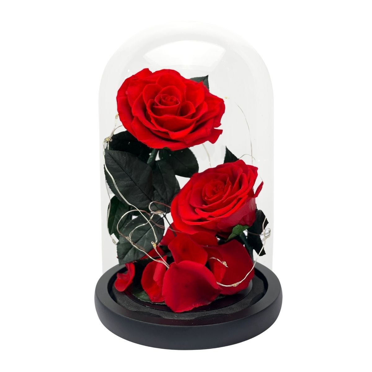 2 Rose - Red Single Preserved Rose - Preserved Flower Dome - Flower - Preserved Flowers & Fresh Flower Florist Gift Store