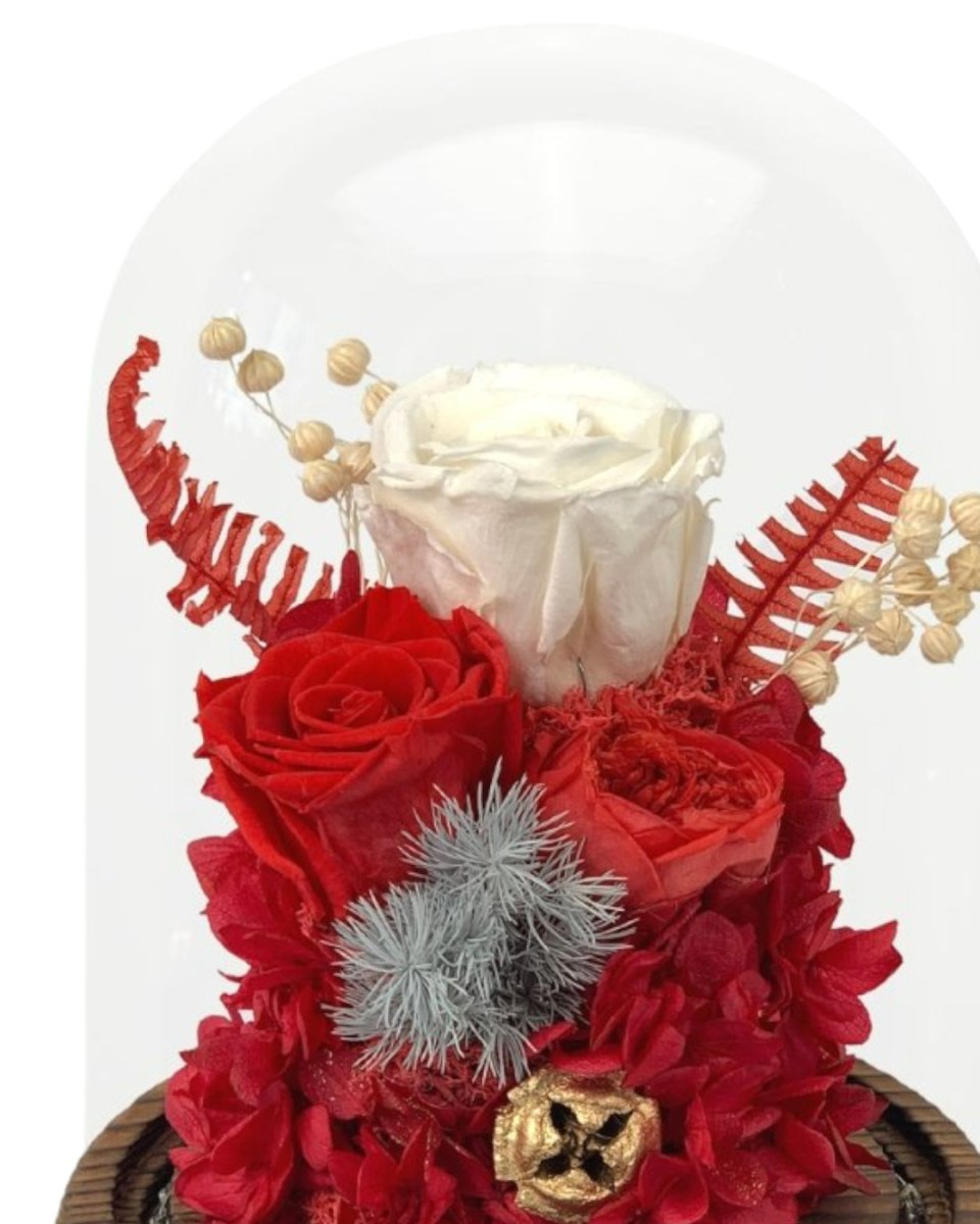 Aika Roses Dome - Red - Flower - Preserved Flowers & Fresh Flower Florist Gift Store