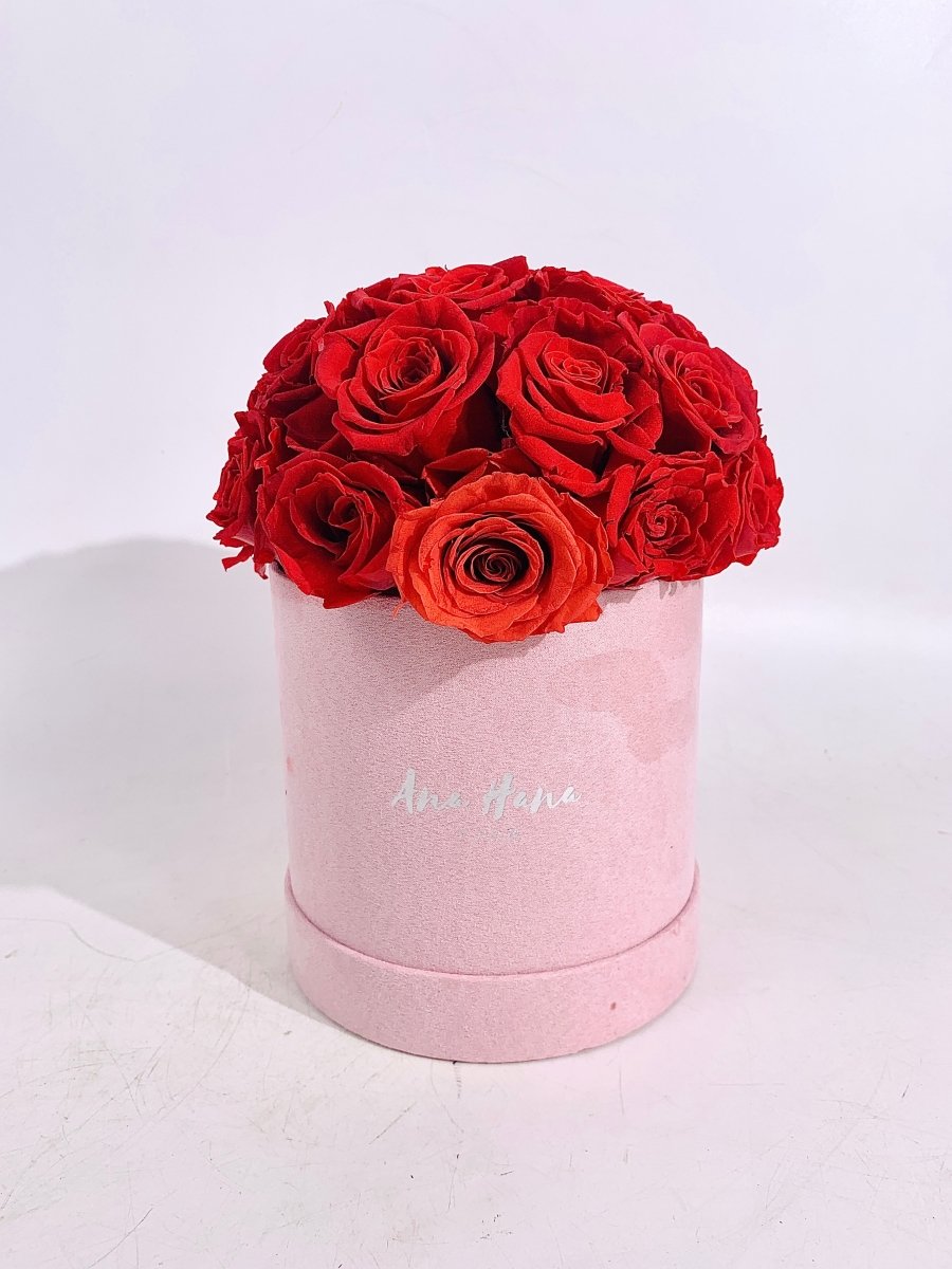 AS-IS Domes / Bucket (Imperfect ) - Read Description - Flowers - Rose Pink Bucket - Preserved Flowers & Fresh Flower Florist Gift Store