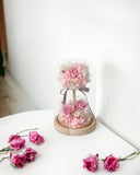 Blossom Tree - Sakura Pink - Flower - Preserved Flowers & Fresh Flower Florist Gift Store