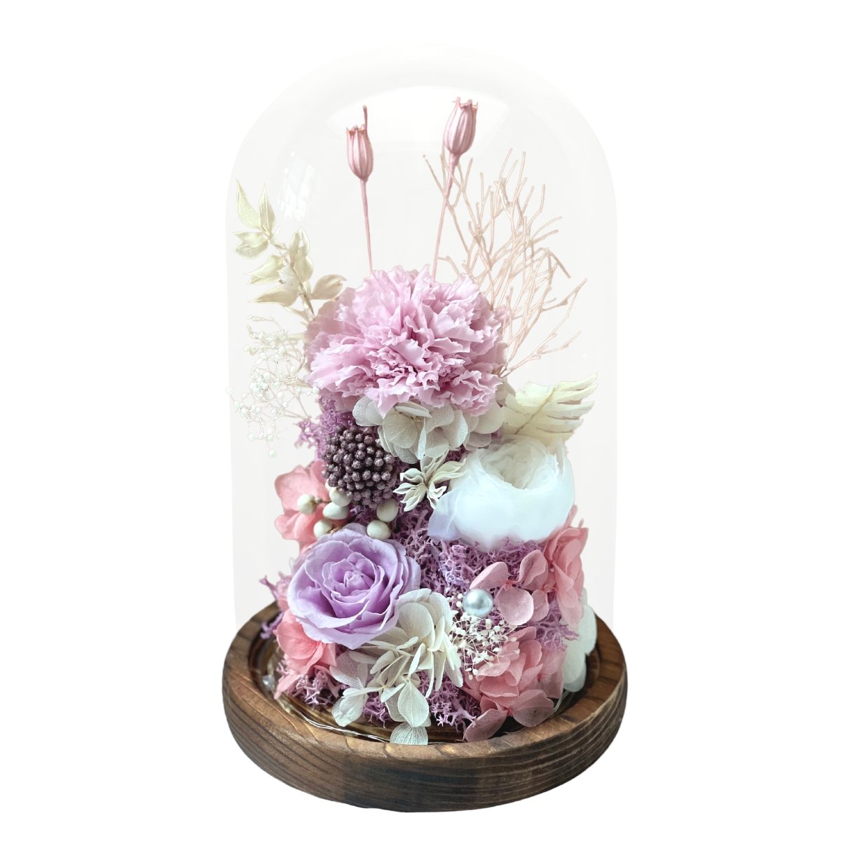 Carnation Bell Dome - Purple Diamonds (with gift box) - Flower - Preserved Flowers & Fresh Flower Florist Gift Store