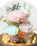 Carnation Blowball - Pink (with gift box) - Flower - Preserved Flowers & Fresh Flower Florist Gift Store