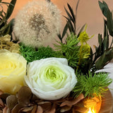 Dandelion Blowball Preserved Flower Dome - Champagne - Flower - Preserved Flowers & Fresh Flower Florist Gift Store