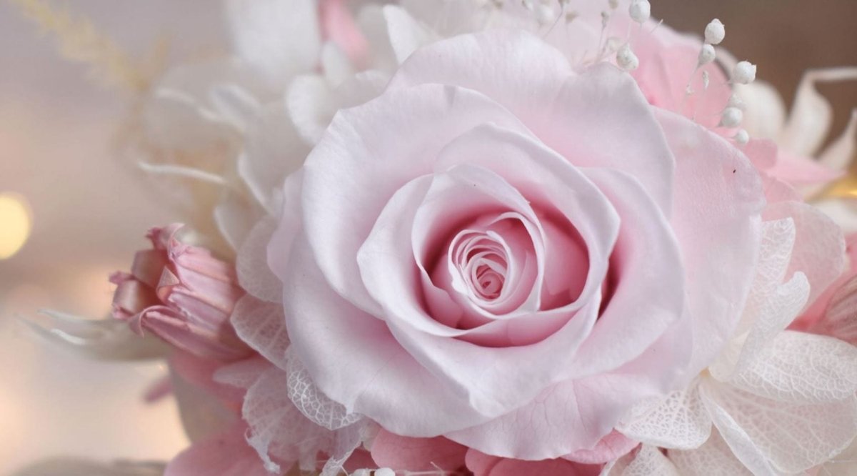 Haruta - Preserved Hydrangea/Rose Dome - Flowers - Dream はるた - Preserved Flowers & Fresh Flower Florist Gift Store