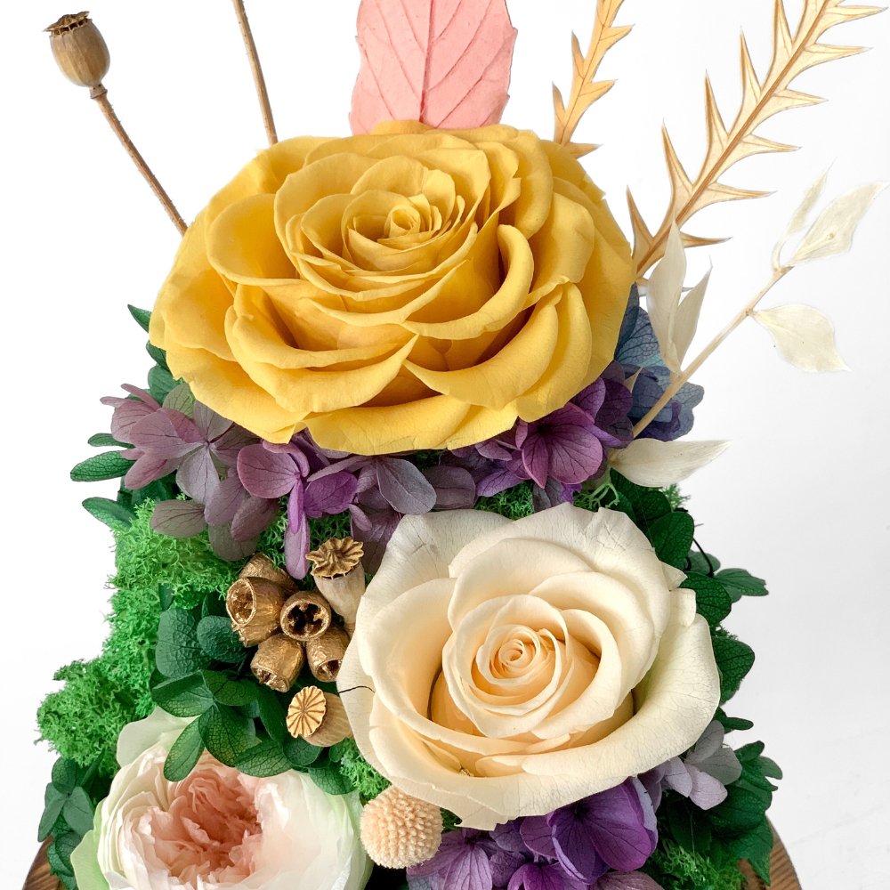 Hazel Roses (large dome with gift box) - Flower - Amber Yellow - Preserved Flowers & Fresh Flower Florist Gift Store