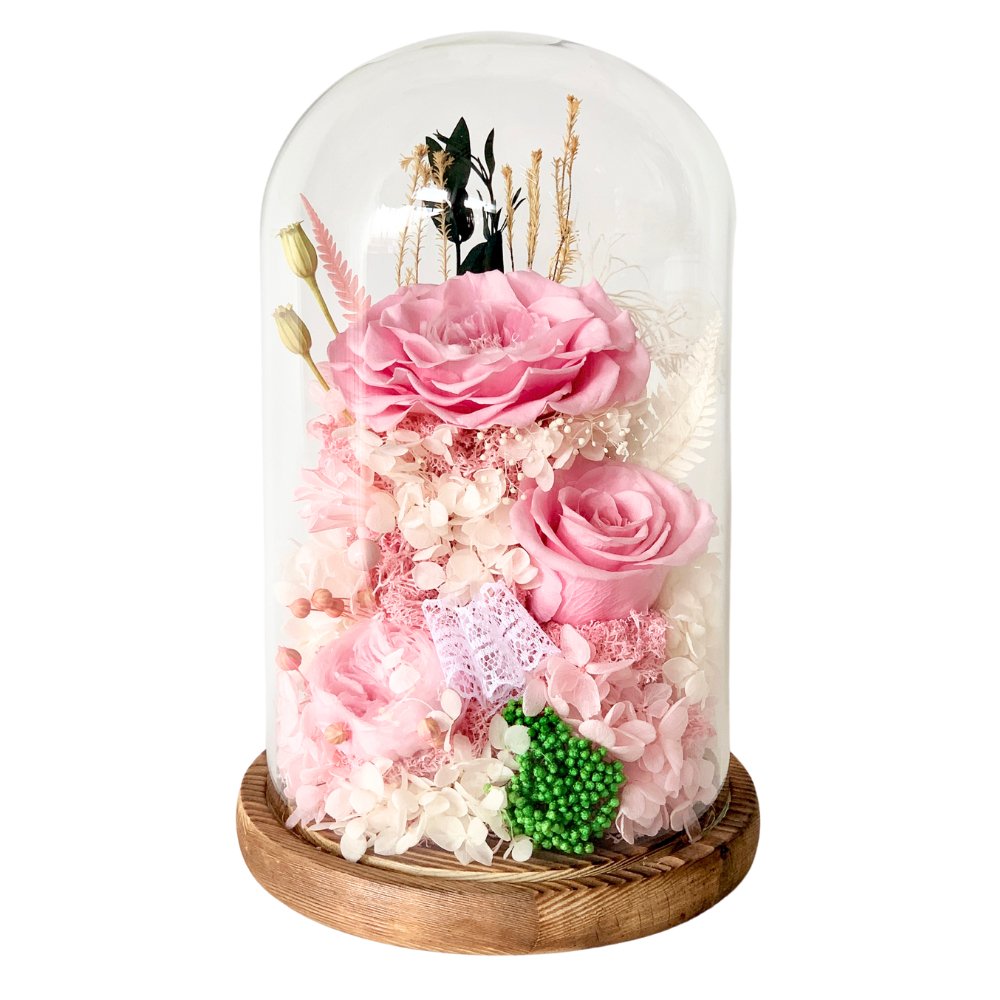 Hazel Roses (large dome with gift box) - Flower - Blush Pink - Preserved Flowers & Fresh Flower Florist Gift Store