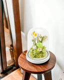 La Belle - Large - Flower - Preserved Flowers & Fresh Flower Florist Gift Store