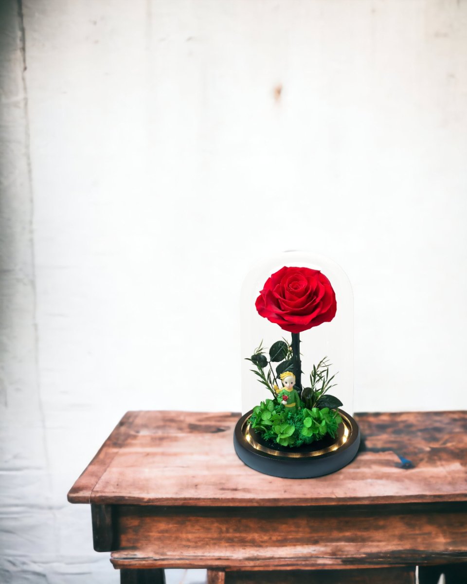Little Prince, Red Rose - Flower - Preserved Flowers & Fresh Flower Florist Gift Store