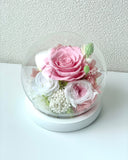 Rose Blowball - Pink (with gift box) - Flowers - Preserved Flowers & Fresh Flower Florist Gift Store