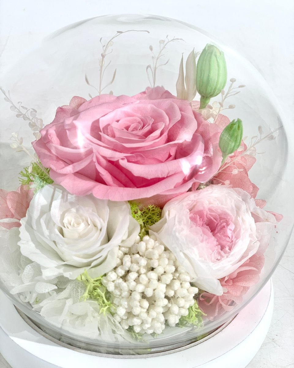 Rose Blowball - Pink (with gift box) - Flowers - Preserved Flowers & Fresh Flower Florist Gift Store