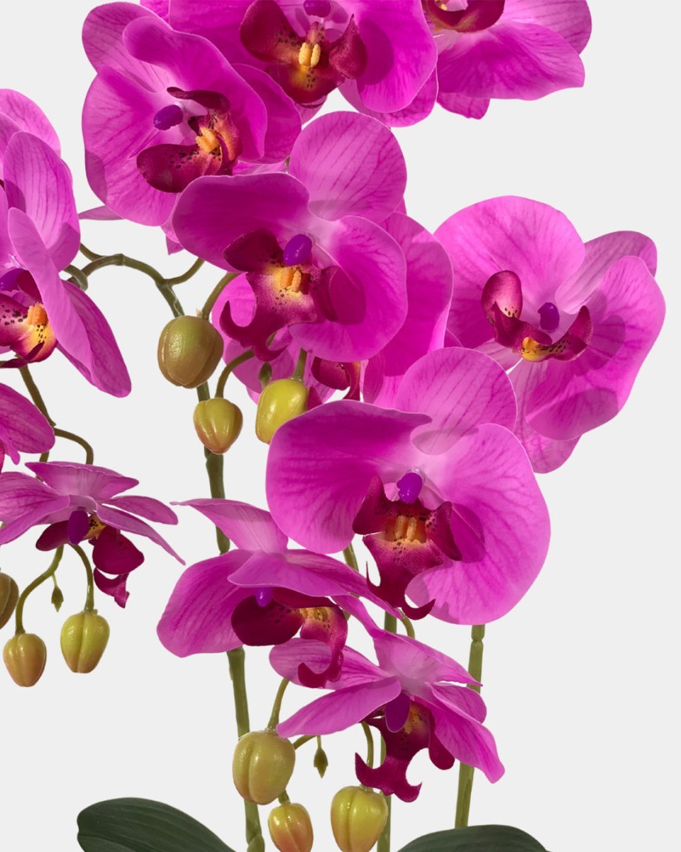 Silk Phalaenopsis in Gold Pot - Gifting plant - purple - Preserved Flowers & Fresh Flower Florist Gift Store