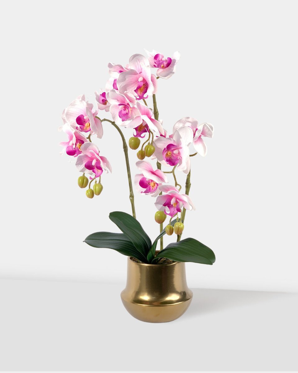 Silk Phalaenopsis in Gold Pot - Gifting plant - yellow - Preserved Flowers & Fresh Flower Florist Gift Store