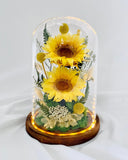 Sunflower Dome - Duo Dunny - Large Dome with box - Flower - Preserved Flowers & Fresh Flower Florist Gift Store