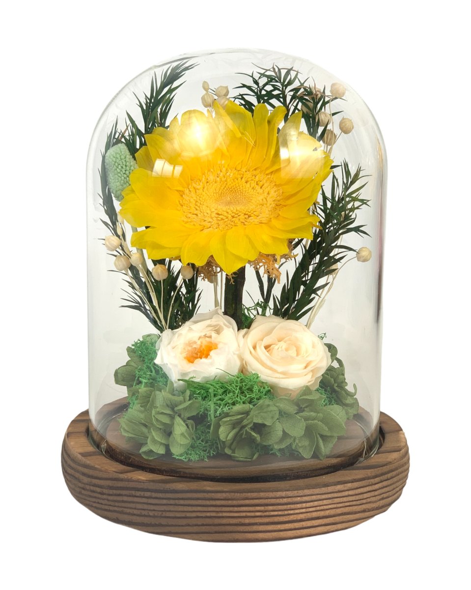 Sunflower Dome - Rosie Emerald - Flowers - Preserved Flowers & Fresh Flower Florist Gift Store